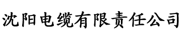 91免费香蕉視频电缆厂logo